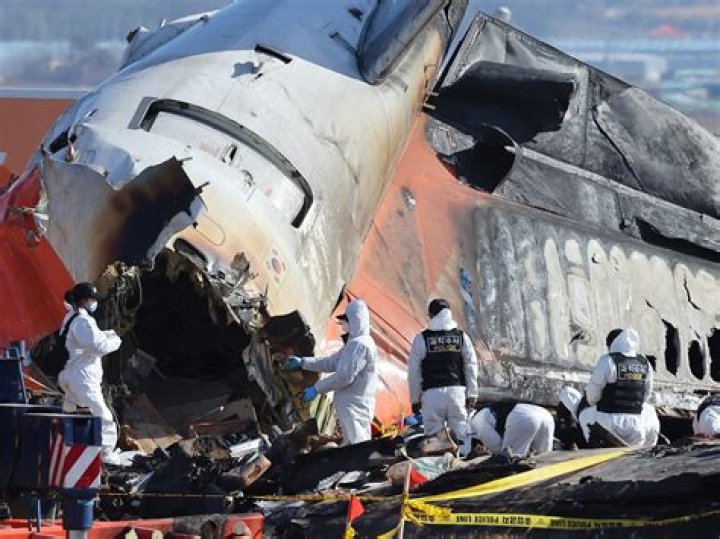 Did Gary Rossington survive the plane crash?