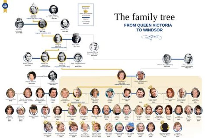 Does Willson Contreras Have Kids? Family Tree