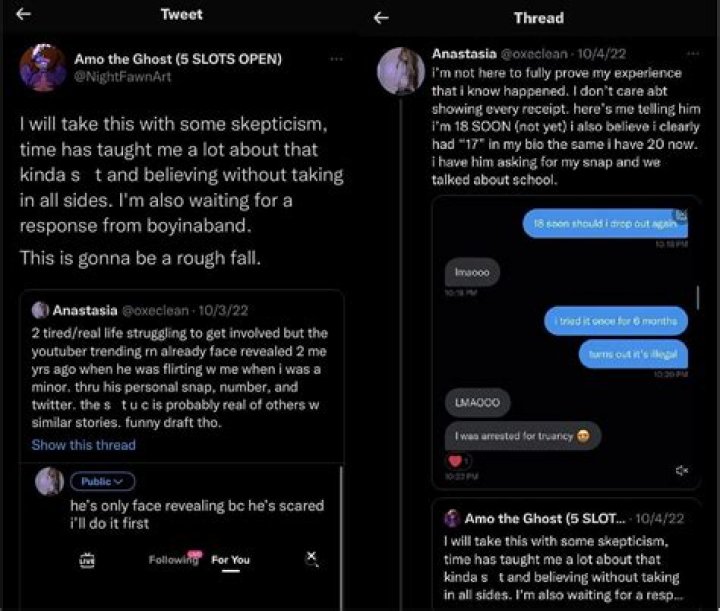 Fact Check: Creepsmcpasta Allegations & Drama -Accused Of Grooming Details On Reddit