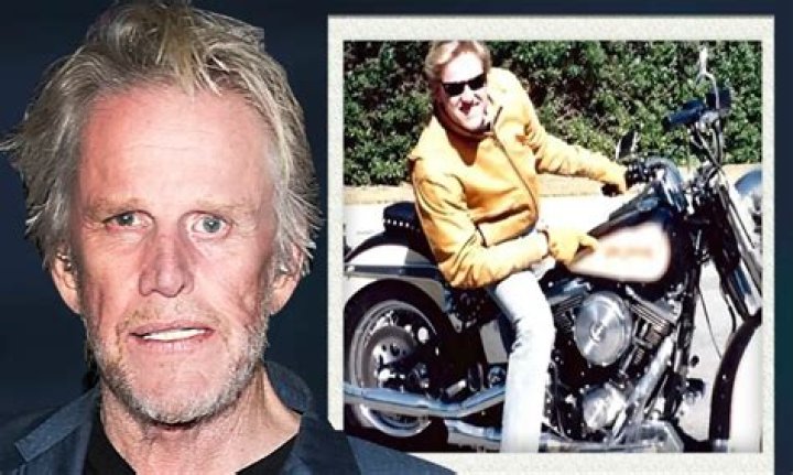 Gary Busey Before and After Motorcycle Accident: Did The Actor Lose His Mind?