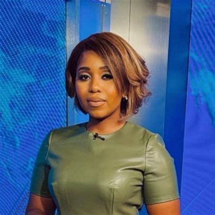 Meteorologist: Is Somara Theodore Pregnant? Everything On Her Husband And More