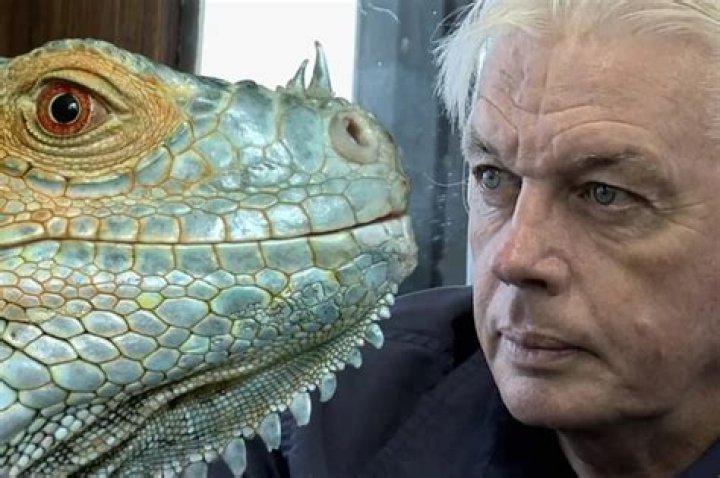 Who Is Jaymie Icke? David Icke Son Net Worth and Wikipedia, Conspiracy Film Controversy