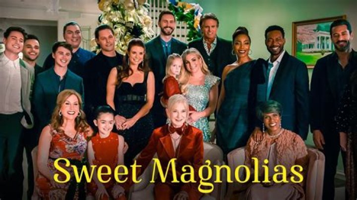 Who Is Shawn Passwaters? Details To Know About The Cast From Sweet Magnolias