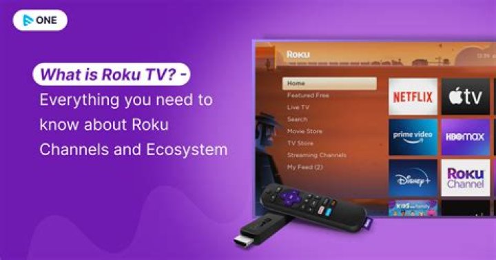 Why Was Twoku Removed From Roku TV? People Have Different Reactions & Theories Regarding The Channels’s Exit